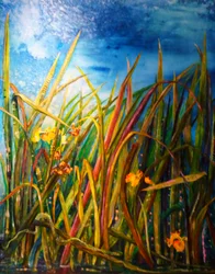 Wilde Iris Wasserschlange, 2017
