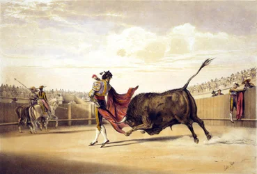 Stierangriff während der Matador das Cape spielt