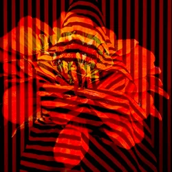 Blumencollage, 2017