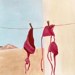 Wüsten-Bikinis